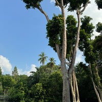 Photo taken at Bukit Timah Nature Reserve by Yidan W. on 4/22/2024