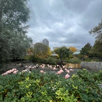รูปภาพถ่ายที่ Lincoln Park Zoo โดย Şeyma A. เมื่อ 10/26/2023
