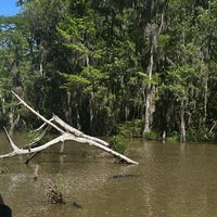 Photo taken at Dr. Wagner&amp;#39;s Honey Island Swamp Tour by Şeyma A. on 4/3/2024