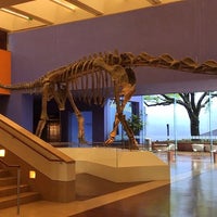 Photo prise au Fort Worth Museum of Science and History par jacob j. le9/11/2019
