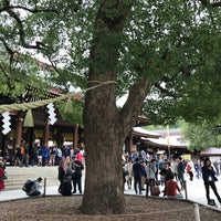 Photo taken at Meoto Kusu (Camphor Tree) by 古賀唯花 on 11/3/2019