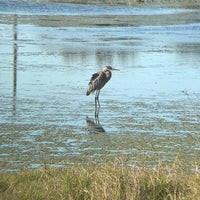 Photo taken at Celery Fields by Eric R. on 2/18/2023