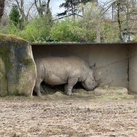 Photo taken at Parc Zoologique de Paris by Alex R. on 3/30/2024
