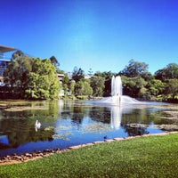 UQ Great Lake - 5 tips from 421 visitors