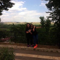 diyarbakir dicle akarsu balik evi