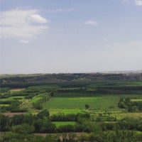 diyarbakir dicle akarsu balik evi