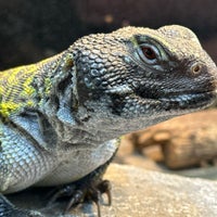 Photo taken at Cheyenne Mountain Zoo by Griffin S. on 4/29/2023