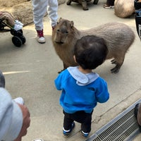 Photo taken at Kobe Animal Kingdom by うめぽっぽ on 12/10/2023
