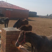 Photo taken at Ayrudzi Horse Backriding Club by Gor D. on 10/10/2014