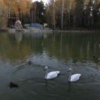 Photo taken at Novosibirsk Zoo by Alexander A. on 10/3/2020