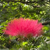 Review Perdana Botanical Garden (Taman Tasik Perdana)