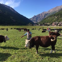 Photo taken at Cogne by Gaël T. on 9/28/2019