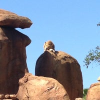 Photo taken at Kilimanjaro Safaris by Sam R. on 5/14/2013