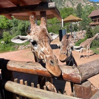 Photo taken at Cheyenne Mountain Zoo by Jennifer on 7/3/2023