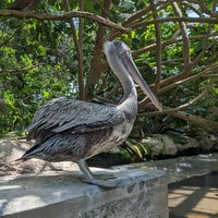 Photo taken at The Florida Aquarium by Paul C. on 4/20/2023