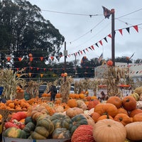 Photo taken at The Great Pumpkin Patch by SU .. on 10/21/2021
