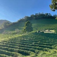 Photo taken at Boseong Dawon Green Tea Field by 나영 김. on 9/19/2021