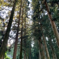 Photo taken at Boseong Dawon Green Tea Field by 나영 김. on 9/19/2021