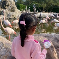 Photo taken at Al Areen Wildlife Park &amp;amp; Reserve by Mohammed on 12/29/2023