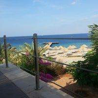 Berenice Beach Club العقبة Al Aqabah