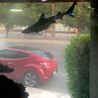 safari pet store near me