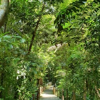 Photo taken at The Rain Forest by Anna S. on 7/5/2020