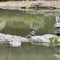 Photo taken at Seattle Japanese Garden by Tusenpai L. on 3/20/2022