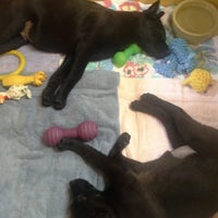 Photos At Feeders Supply Pet Store In East Louisville