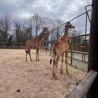 2/11/2024 tarihinde Parsto o.ziyaretçi tarafından Polonezköy Hayvanat Bahçesi ve Doğal Yaşam Parkı'de çekilen fotoğraf