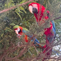 Photo taken at Polonezköy Zoo Country Club by Parsto o. on 2/11/2024