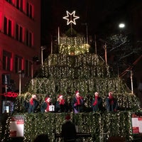 Reviews Of 2022 Portland Singing Christmas Tree Singing Christmas Tree - Lindenhof - Zürich, Zürich