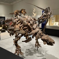 Photo taken at Osaka Museum of Natural History by showhey on 8/7/2023