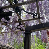 Photo taken at Kasuga-taisha Shrine by showhey on 4/24/2024