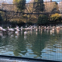 Photo taken at Flamingo by 🈁 on 2/10/2020