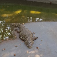 Photo taken at Jardim Zoológico do Rio de Janeiro by Rodrigo R. on 9/8/2017