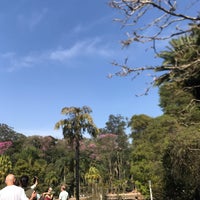 Photo taken at Parque Estadual Alberto Löfgren (Horto Florestal) by Anderson T. on 7/24/2022