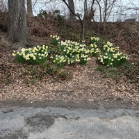 Photo taken at Bridge No. 27 - Central Park by Amy L. on 3/24/2023