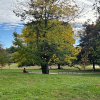 Photo taken at Prospect Park Ball Fields by Amy L. on 10/25/2023