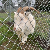 Photo taken at The Belmont Goats by Francis S. on 1/20/2019