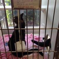 Das Foto wurde bei Hilton Hospital for Animals von Gayle C. am 11/2/2013 aufgenommen
