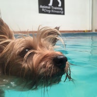 Photo taken at animal training y dog housing by Silvia R. on 7/2/2016