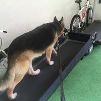 Photo taken at animal training y dog housing by Silvia R. on 6/30/2016