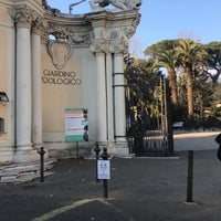 Photo taken at Museo Civico di Zoologia by S. on 1/14/2020