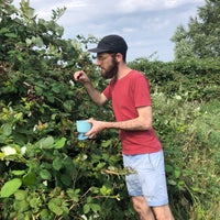 Photo taken at Walthamstow Marshes by Sinead D. on 8/4/2019