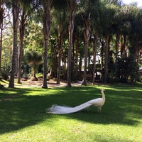 Casa del lago anaheim Casa del lago anaheim
