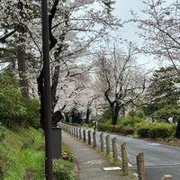 Photo taken at Aoyama Cemetery by Kenro O. on 4/3/2024