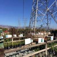 Garden View Nursery 49 Visitors Garden View Nursery 49 Visitors