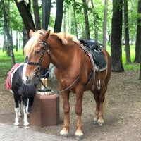 Photo taken at Ногинский Парк Культуры И Отдыха by Elena D. on 5/26/2019