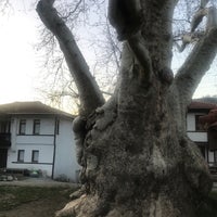 Photo taken at 7 Asırlık Çınar Ağacı by Dream T. on 12/29/2022
