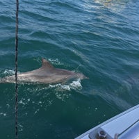 イルカマリンワールド 天草市 熊本県 イルカマリンワールド 天草市 熊本県